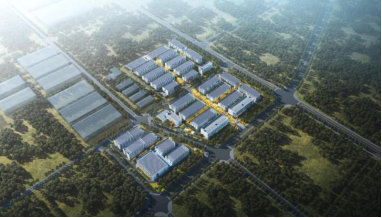 qyh球友会官网-相信品牌力量